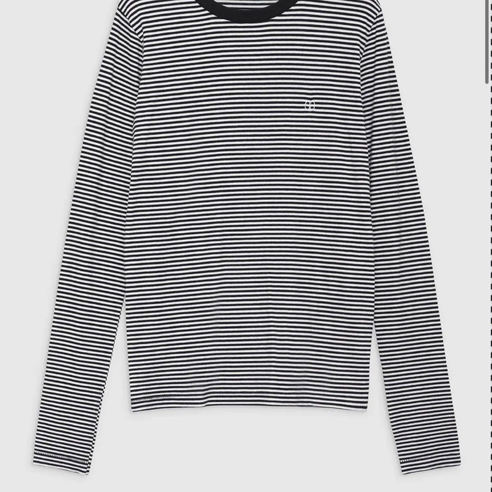 Anine Bing RYLAN TEE - BLACK AND WHITE STRIPE